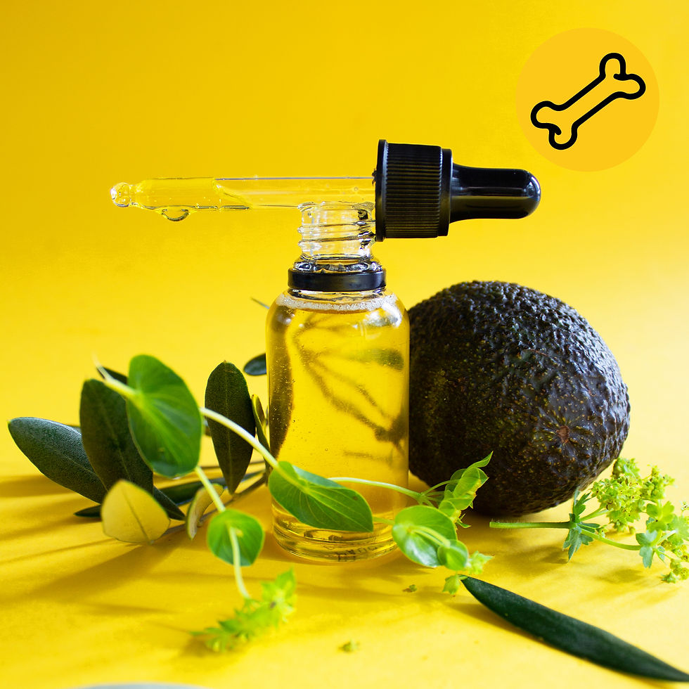 #Alfošuo. Magiškas aliejus šunims (Receptas)