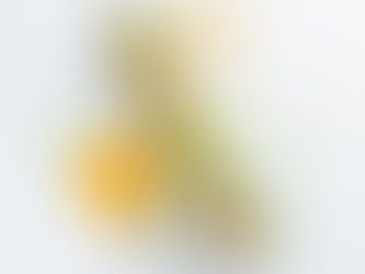 kalakutienos iešmeliai su mangais