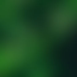 Kas sieja ekologiškiausią produktą žemėje ir populiarųjį skonio gerintoją E621?