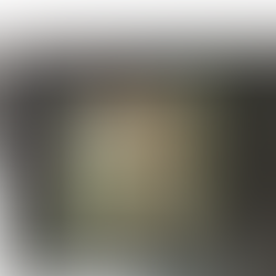 Veganu tapęs Algis Kriščiūnas: „Geriausias patiekalas – gyvenimo džiaugsmas“