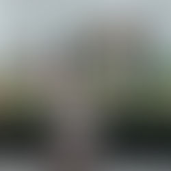 Populiarus restoranas turi gerų žinių: naujas garsaus šefo kurtas meniu + ilgai laukta terasa