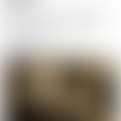 Žymų meksikietišką restoraną palieka jo įkūrėjas. Nusprendė atidaryti naują vietą turguje