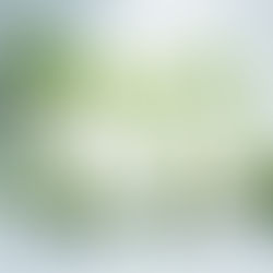 Zataras – Artimųjų Rytų virtuvės paslaptis