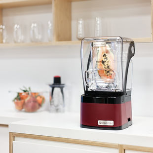 Jeigu ieškote tikrai gero ir galingo maisto smulkintuvo, apsvarstykite šį variantą 