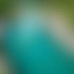 „Makalius“ pataria: tolerantiškiausios kryptys atostogoms su vaikais