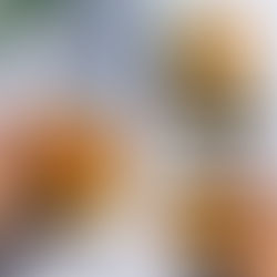 ALFAS VIENAS NAMUOSE traškiųjų burgerių receptai: su sultingu paplotėliu, bemėsis ir desertinis!