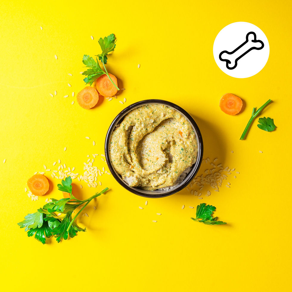 #Alfošuo. Klijai nuo viduriavimo šunų skrandžiui (Receptas)