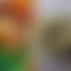 ALFAS VIENAS NAMUOSE receptai: viščiukas su mangais ir krevetėmis, aguoniniai citrininiai sausainiai