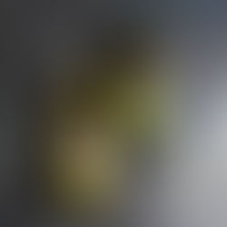 BORGES aliejus: bestselerius patikrina laikas