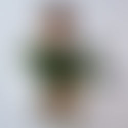 Kaip skaniai pasveikinti mamą pagal Alfą