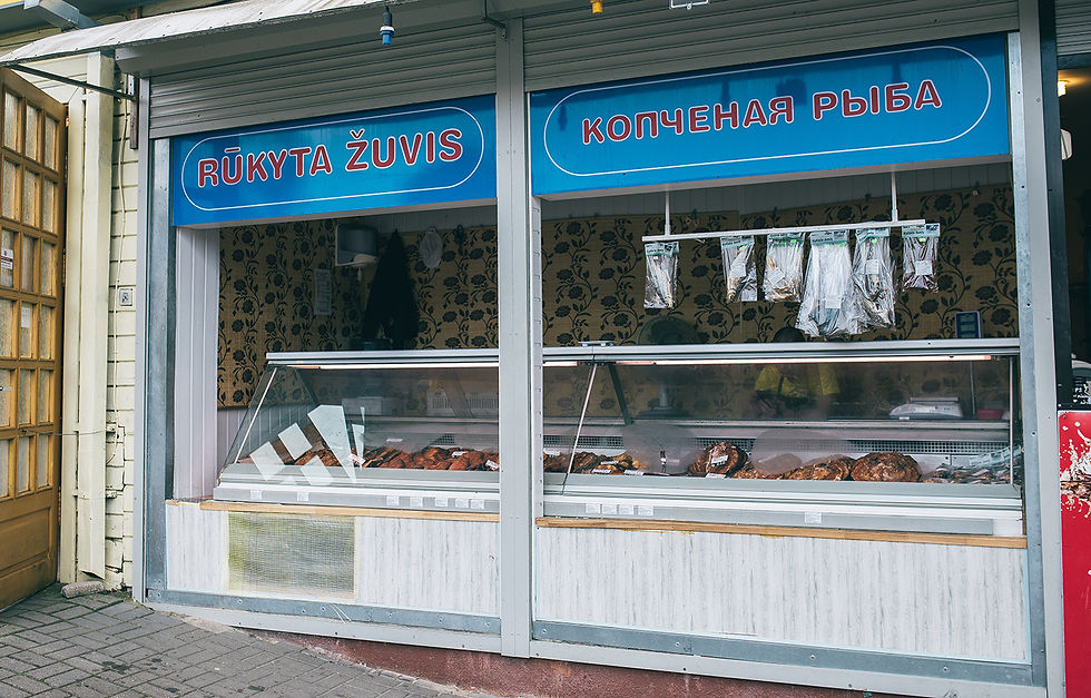 palanga 7