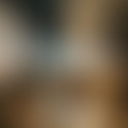 Šią vieno gėrimo šventovę pavadinę restoranu nesuklysite