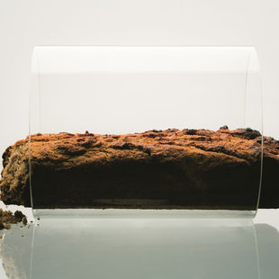 Atskleiskite jų žavesį: TOP 19 VMG receptų su bananais