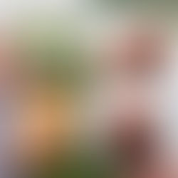 VIENAS GAMTOJE receptai: sparneliai su barbekiu glazūra, keptos bulvės su šonine, paprikų salotos