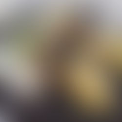 Cepelinai su daržovėmis pagal blogerės #LucVeganTaste receptą