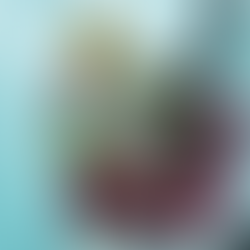 Imbierinis limonadas su avietėmis