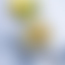 Kūną ir jausmus šildantis receptas: kokosų, imbiero ir kario marinatas viščiukui 