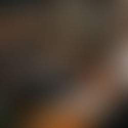 Išskirtinės tuno vakarienės: jų metu milžiniška žuvis pjaustoma svečių akivaizdoje