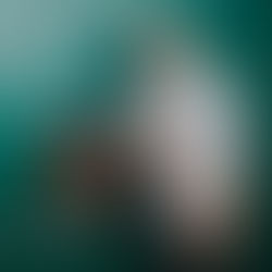 Alfas pataria, kokie orkaitės  triukai padeda gaminti neatsivalgomus patiekalus