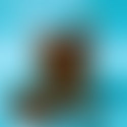 Baltasis karštas nealkoholinis vynas