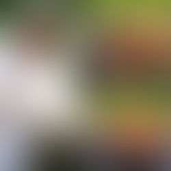 VIENAS GAMTOJE receptai: salotos su vištienos iešmeliais, „steikas“ su marinuotais grybais