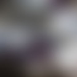 Jeigu liks vietos: netikėtas Alfo ledų deserto su kūčiukais receptas!