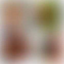 Velykinės savaitės TOP5: ką skaitėte labiausiai?