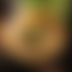 Miško grybų sriuba su lęšiais (Receptas)