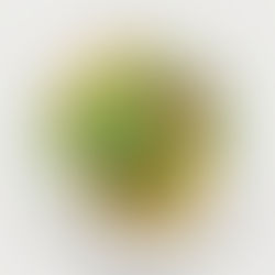 Ryškiai geltona, sultinga ir sodru: 7 salotų su mangais receptai, kurie taps sezono hitais