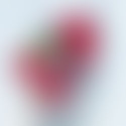 Žaliosios arbatos ir uogų ledai (receptas)