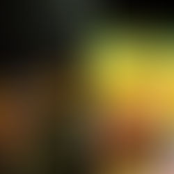 ALFAS VIENAS NAMUOSE receptai: keptų moliūgų sriuba su degustacija, antis, šventinis ledų tinginys! 