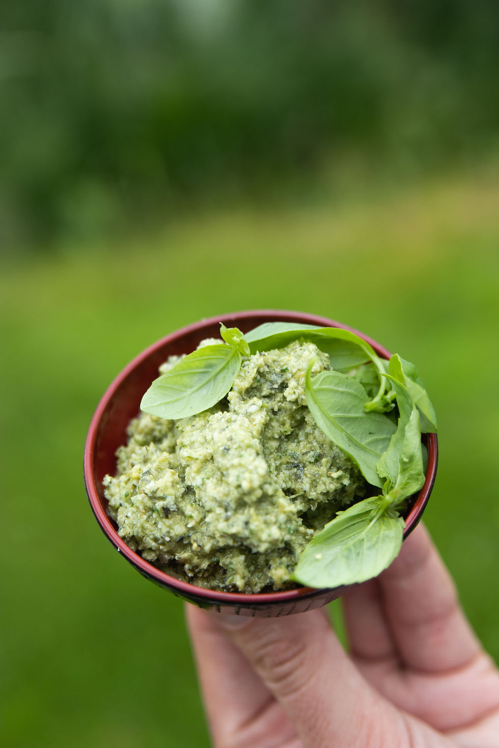 moliūgų sėklų pestas, sėklų užtepėlė, veganiška užtepėlė, Alfo Ivanausko receptai