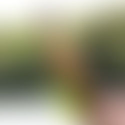 Duona ant šakos su prieskoniais