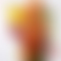 Kataloniška skrudinta duona su pomidorais (Receptas)