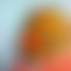 Vasarą prisiminus: išskirtinio skonio užkandis visiems halumio gerbėjams (receptas)