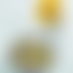 „Morkiniai" pusryčiai 5 dienoms: nuo morkų varškėčių iki apkepo su morkomis