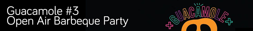guacamole party-2