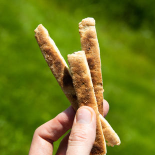 Nesaldūs sūrio sausainiai pagal Alfą