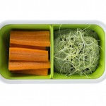 Varškės užtepėlė su morkomis