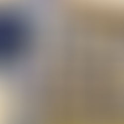 „Instagram“: savamokslės sausainiai skleidžiasi tikrais gėlių žiedais