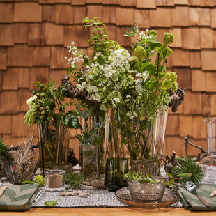 Pajūrio miško jausmas – ant Jūsų stalo. Alfo patarimai, kaip susikurti jaukią vasaros šventę 