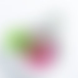 Kitokie šaltibarščiai pagal Alfą ir Agnę