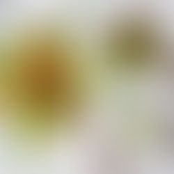 ALFAS VIENAS NAMUOSE receptai: azijietiški spiraliniai agurkai, gaivios salotos, šalta agurkų sriuba