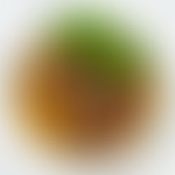 Anties kulšelės ant raugintų kopūstų pagalvės