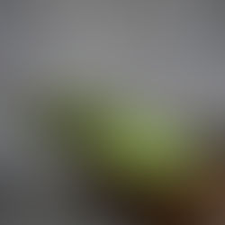 Populiari blogerė išduoda, kaip sukurti tobulas maisto nuotraukas instagramui