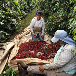 Šlovė mažiems malonumams, nuo kurių prasideda dideli pokyčiai: kava su atsakomybe