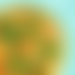 Gamink madingai: TOP VMG patiekalai su lapiniais kopūstais