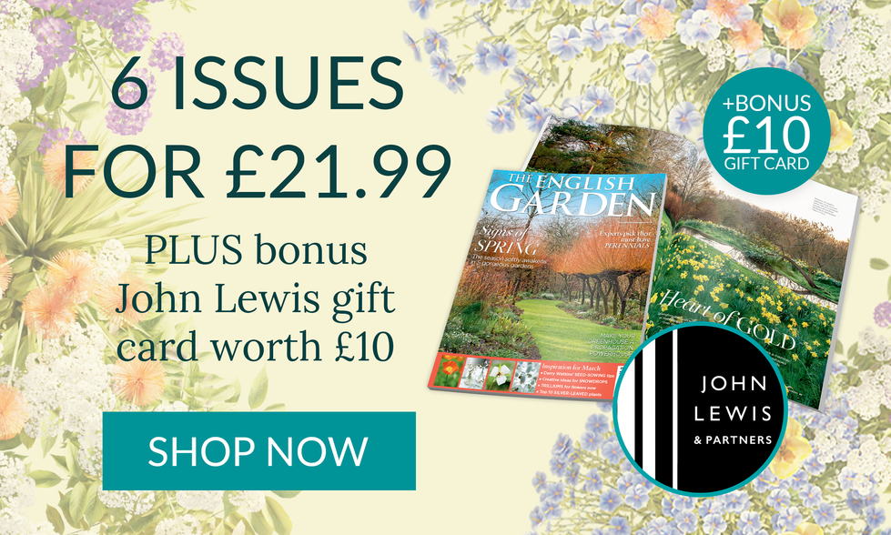 Spring 2025 campaign for The English Garden