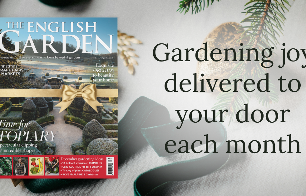 Christmas 2025 campaign for The English Garden