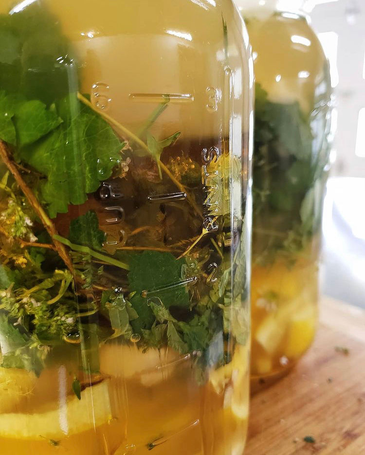 縮圖：Lemon Elixir